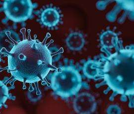 microscopic image of coronavirus