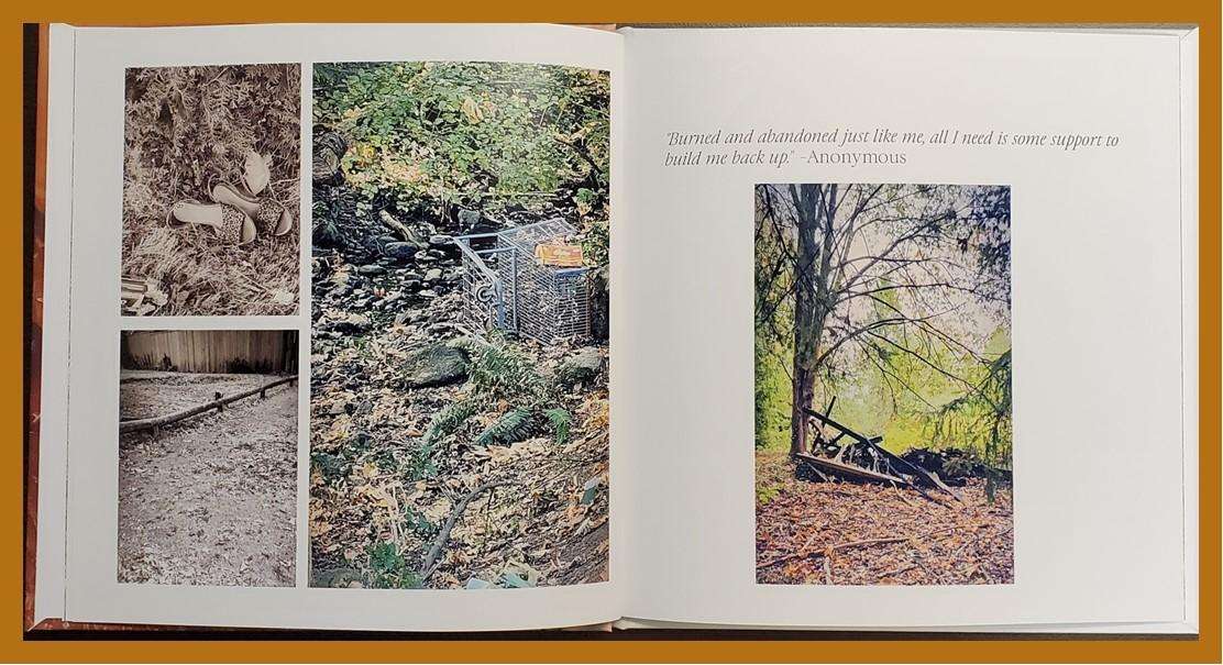 More pictures from the book